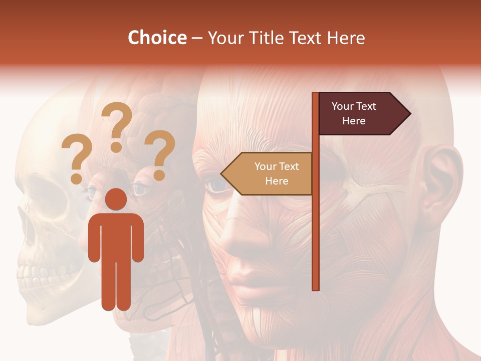 Li Ten Per On Conference PowerPoint Template