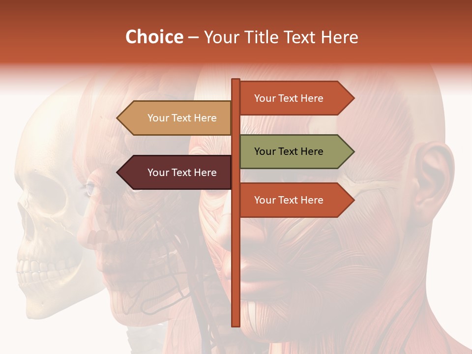 Li Ten Per On Conference PowerPoint Template