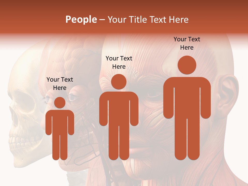 Li Ten Per On Conference PowerPoint Template