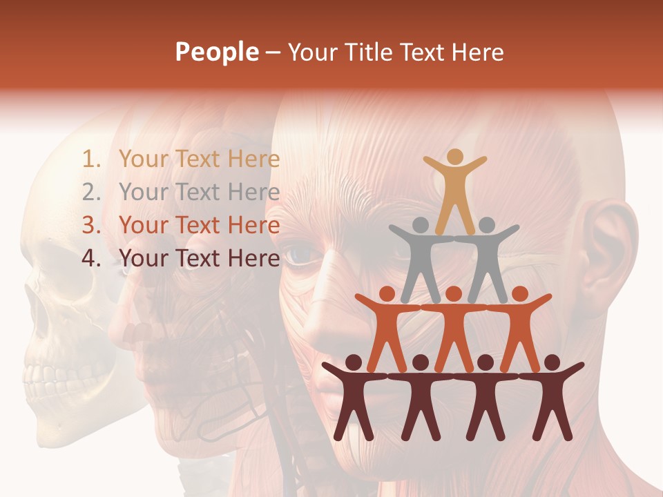 Li Ten Per On Conference PowerPoint Template