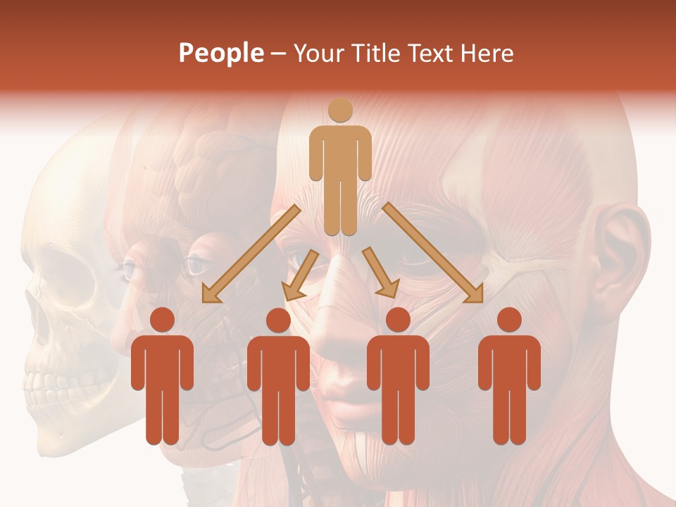 Li Ten Per On Conference PowerPoint Template