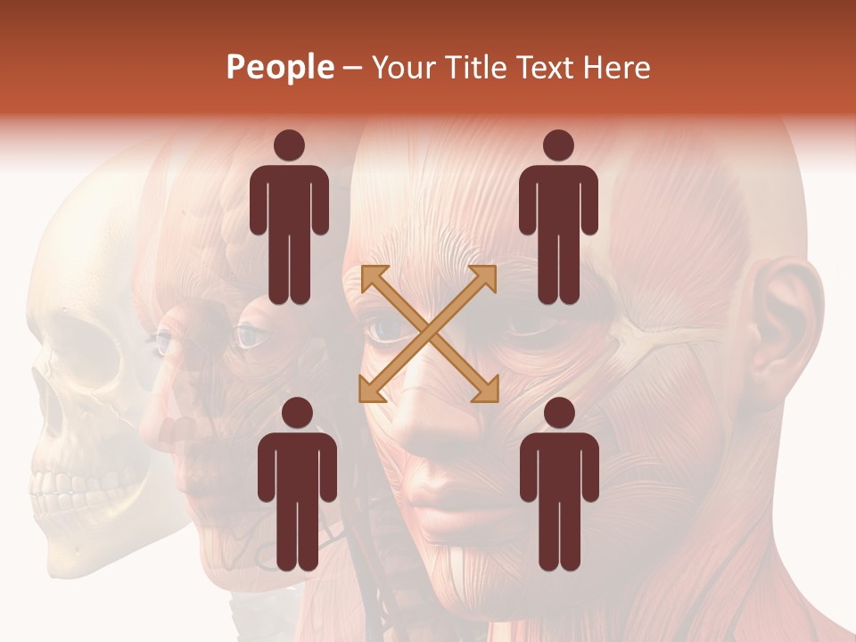 Li Ten Per On Conference PowerPoint Template