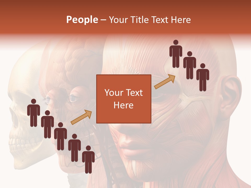 Li Ten Per On Conference PowerPoint Template
