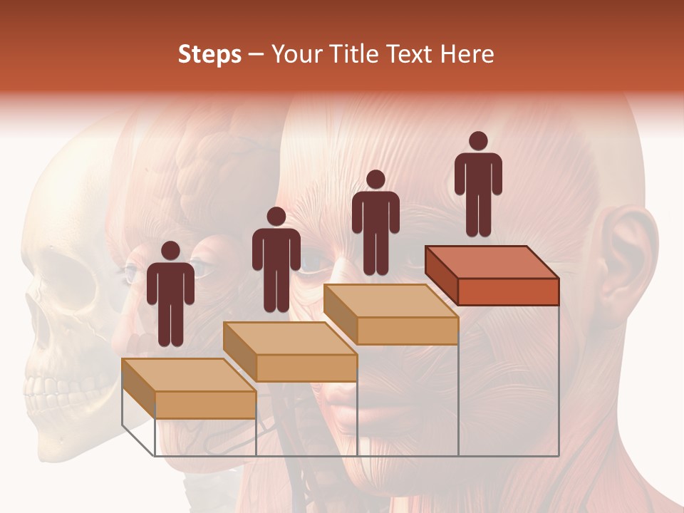 Li Ten Per On Conference PowerPoint Template