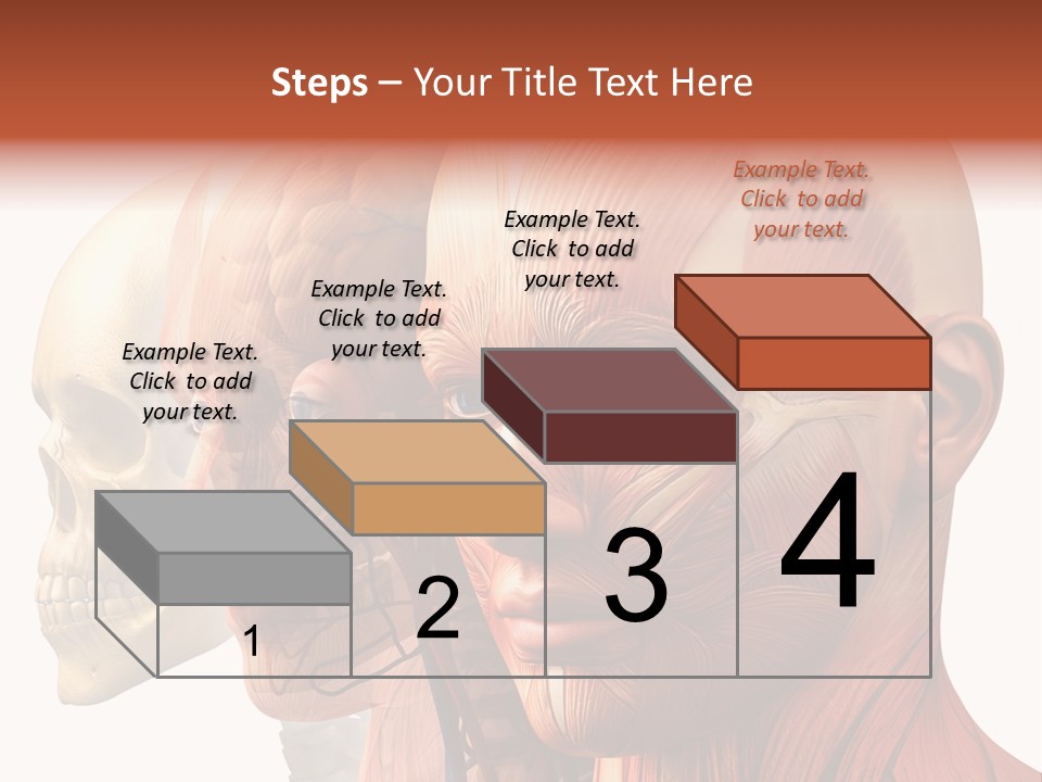 Li Ten Per On Conference PowerPoint Template