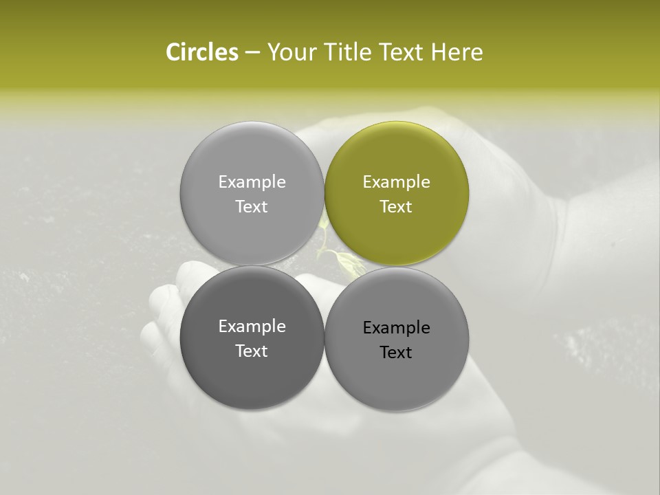 Burgeon Care Dirt PowerPoint Template