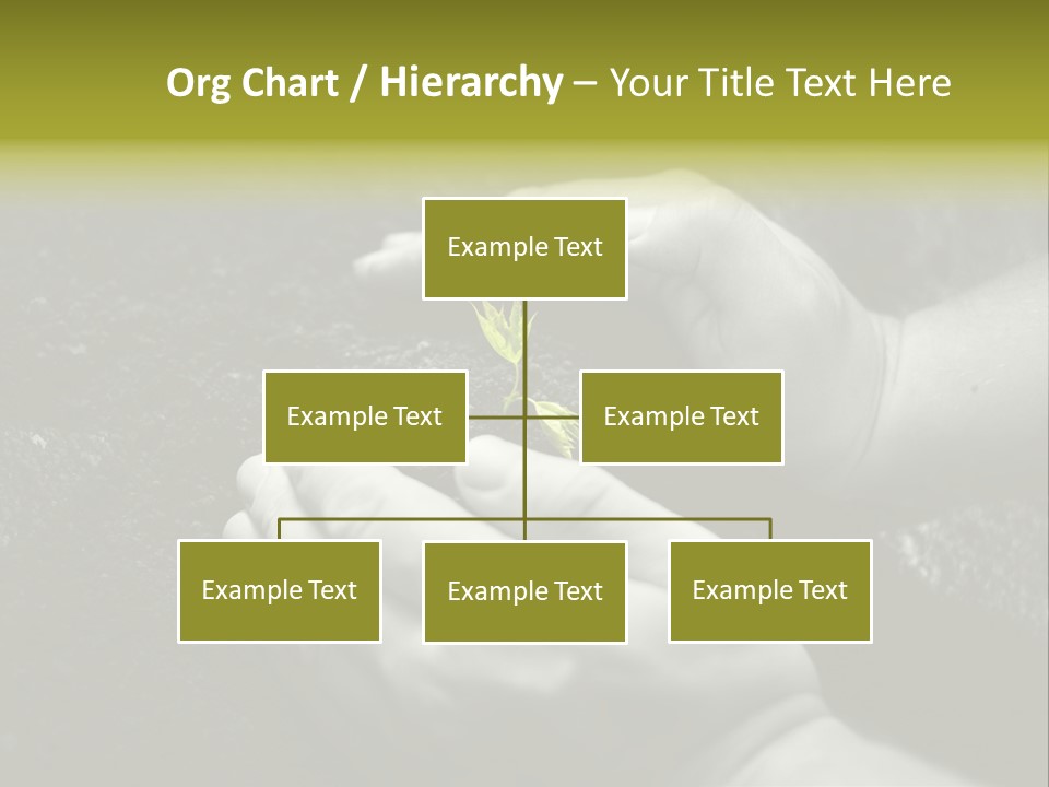 Burgeon Care Dirt PowerPoint Template