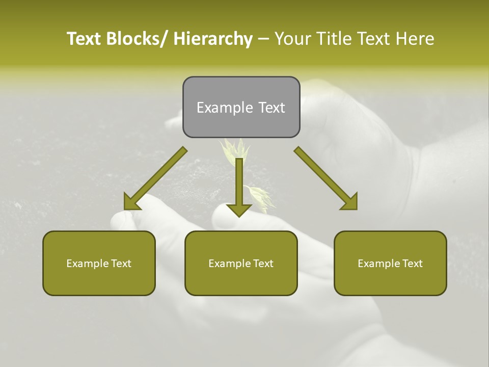 Burgeon Care Dirt PowerPoint Template