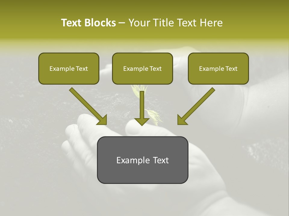 Burgeon Care Dirt PowerPoint Template