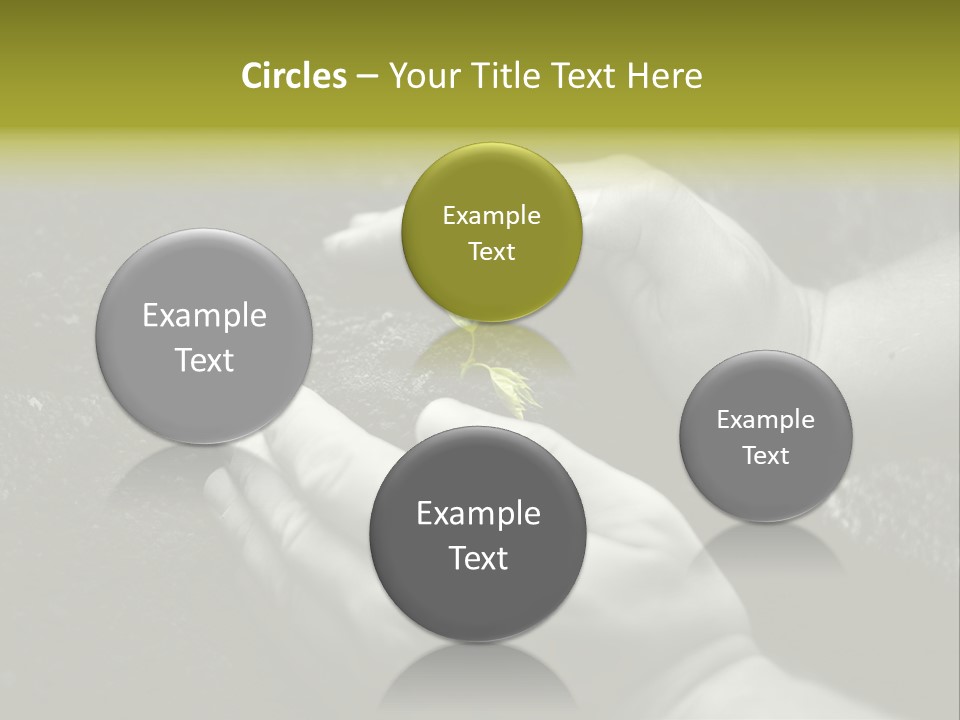 Burgeon Care Dirt PowerPoint Template