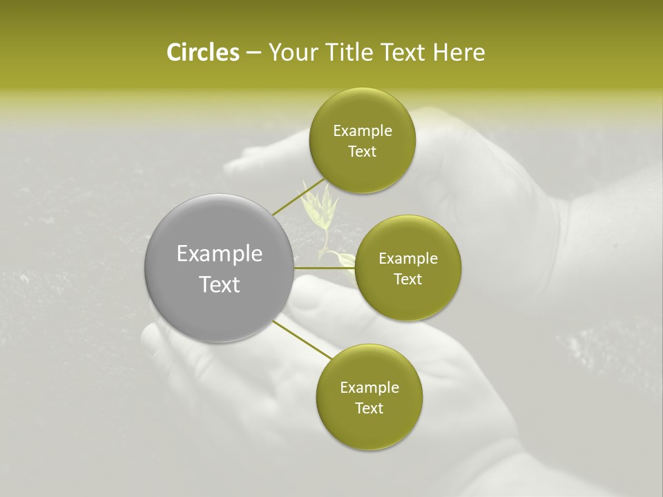 Burgeon Care Dirt PowerPoint Template