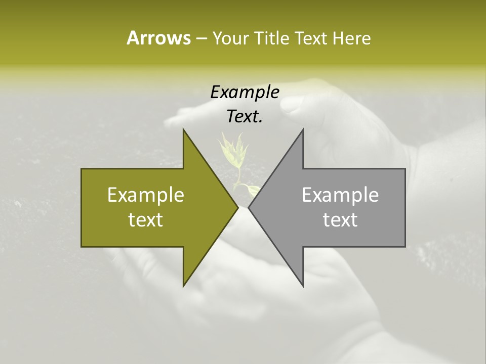 Burgeon Care Dirt PowerPoint Template