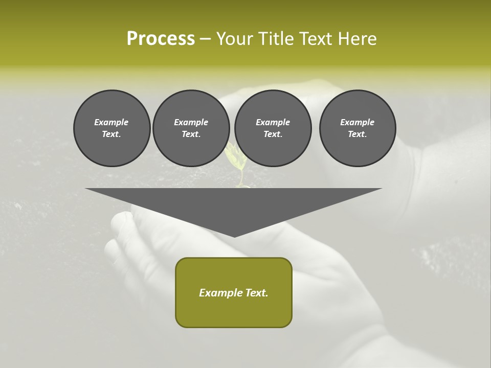Burgeon Care Dirt PowerPoint Template