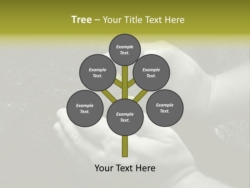 Burgeon Care Dirt PowerPoint Template