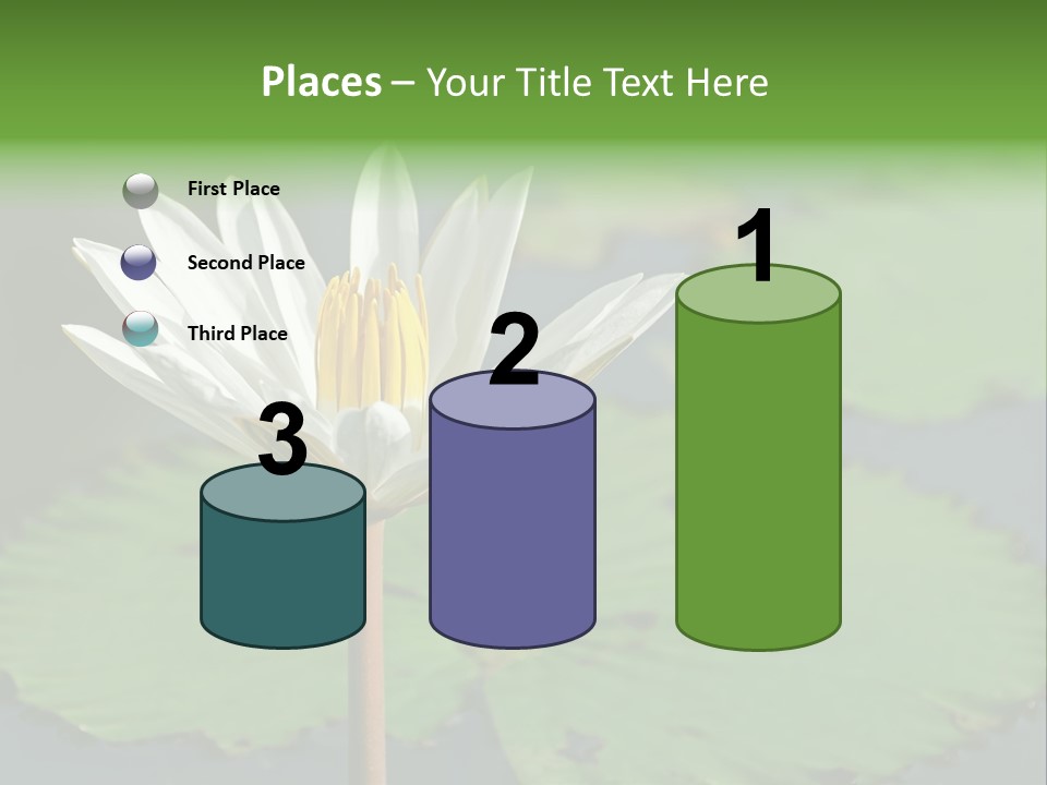 Exotic Leaf Card PowerPoint Template