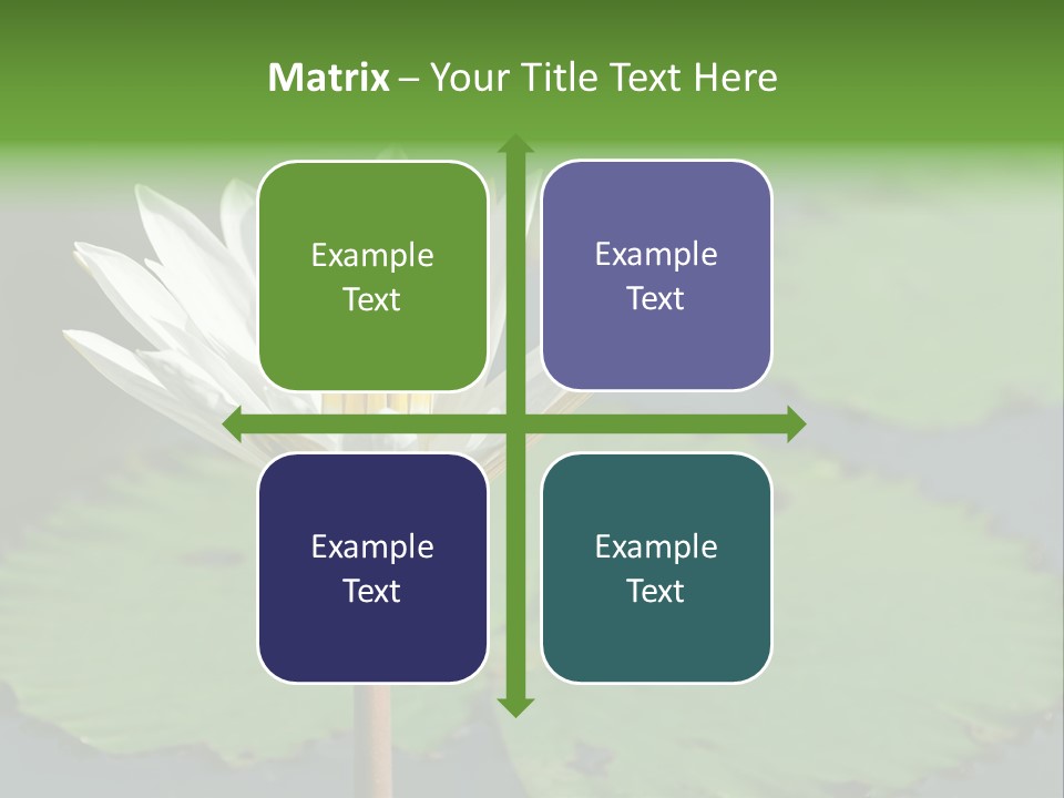 Exotic Leaf Card PowerPoint Template