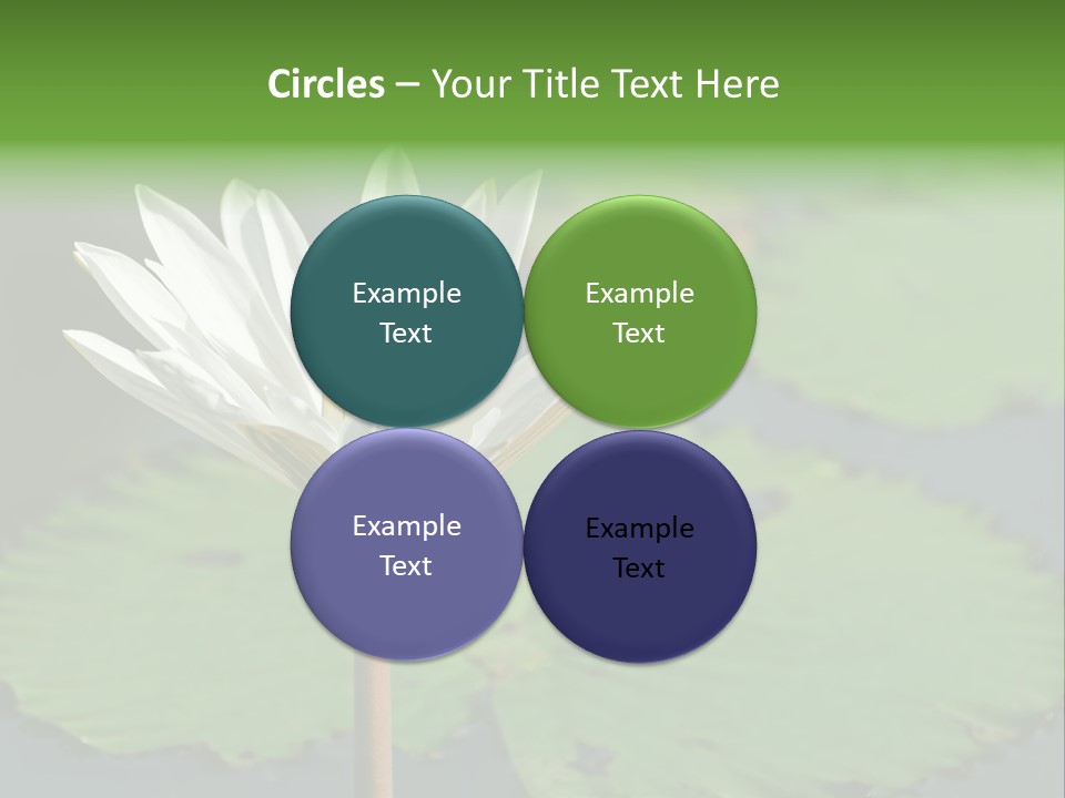 Exotic Leaf Card PowerPoint Template