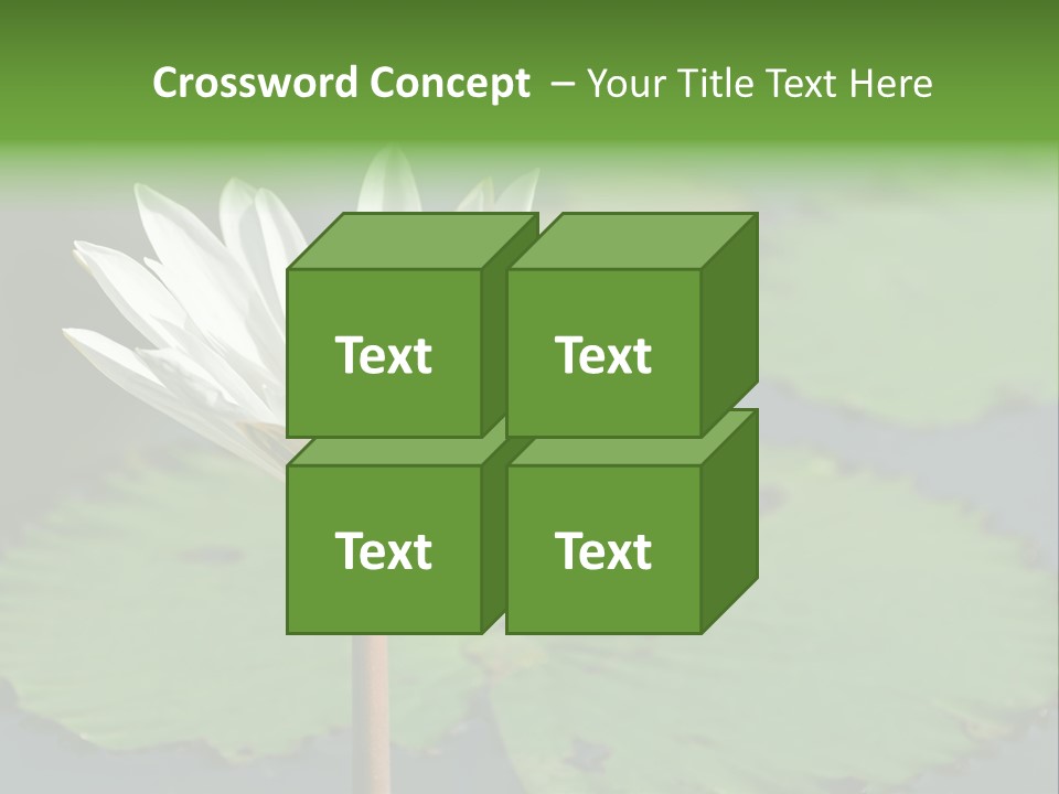 Exotic Leaf Card PowerPoint Template