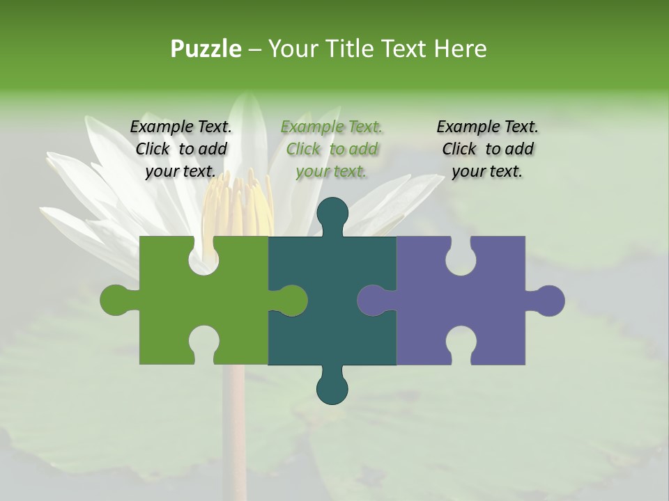 Exotic Leaf Card PowerPoint Template