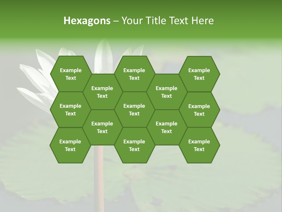 Exotic Leaf Card PowerPoint Template