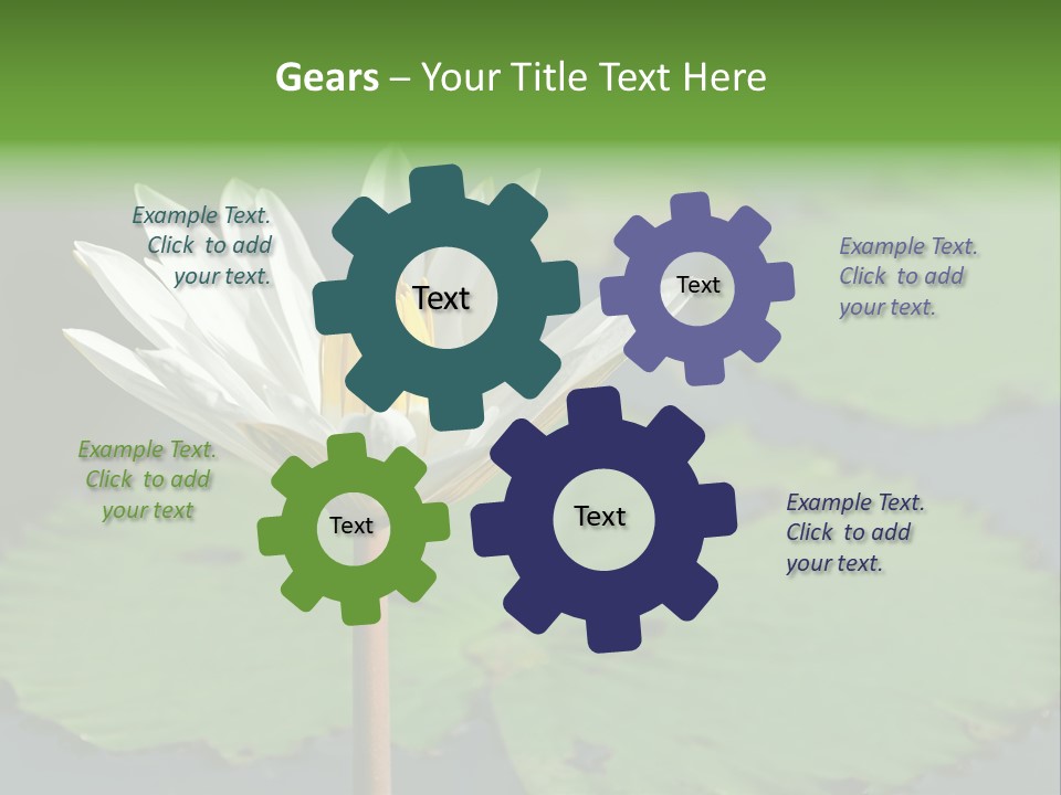 Exotic Leaf Card PowerPoint Template