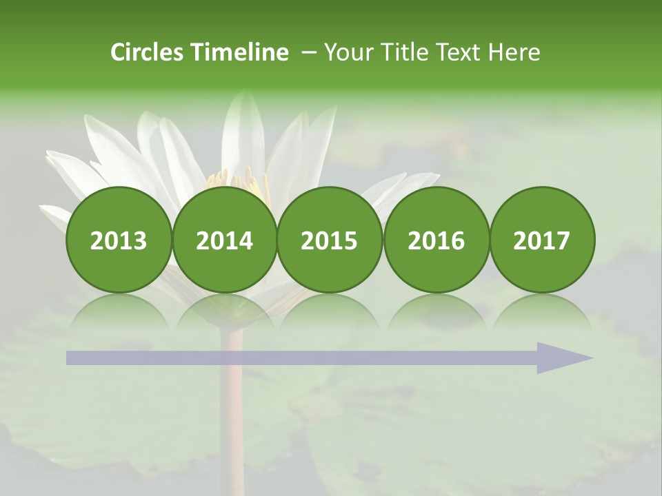 Exotic Leaf Card PowerPoint Template