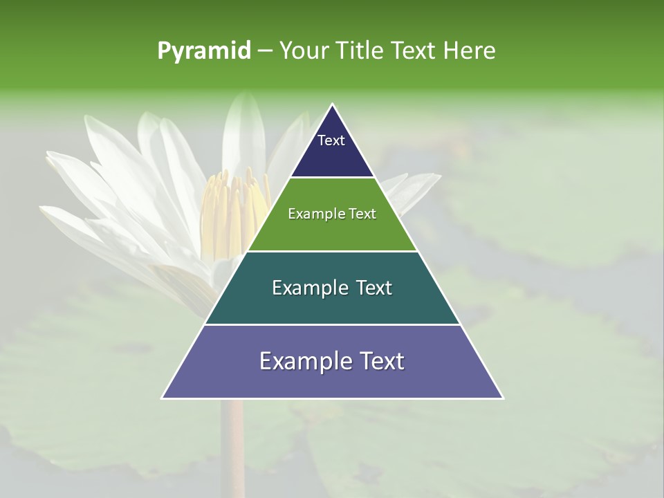 Exotic Leaf Card PowerPoint Template