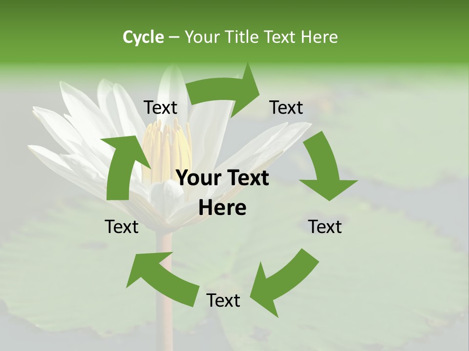 Exotic Leaf Card PowerPoint Template