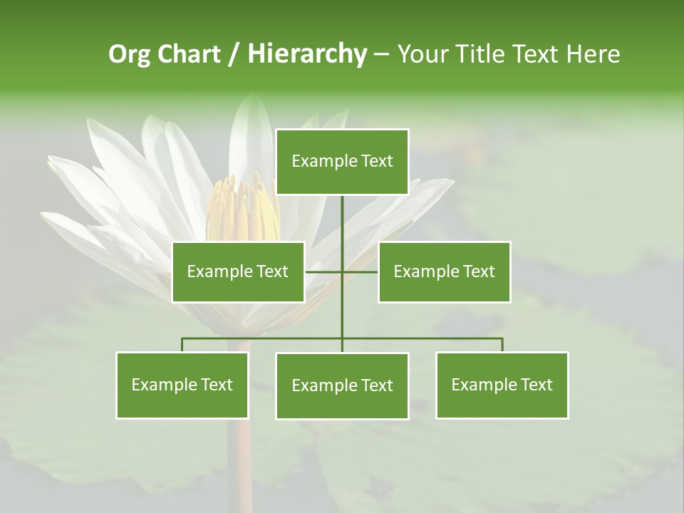 Exotic Leaf Card PowerPoint Template