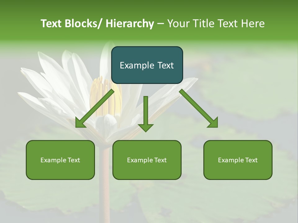 Exotic Leaf Card PowerPoint Template
