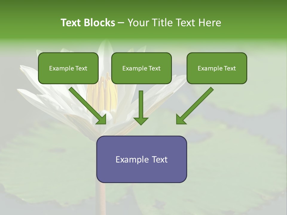 Exotic Leaf Card PowerPoint Template
