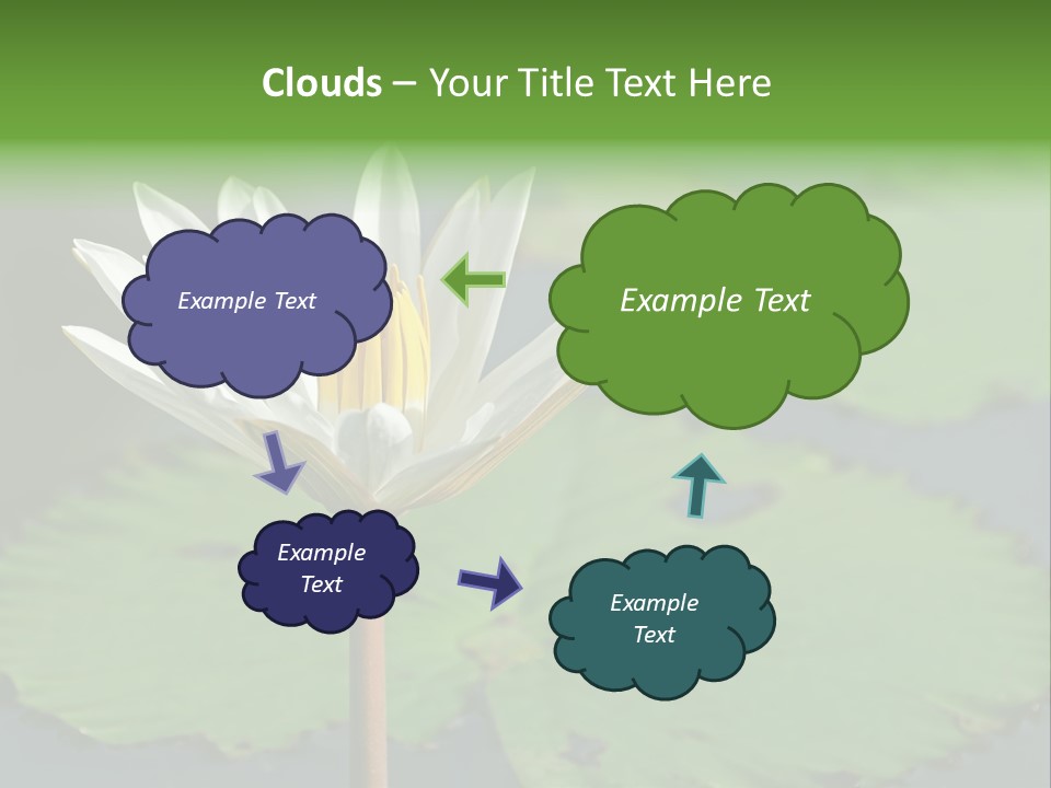 Exotic Leaf Card PowerPoint Template