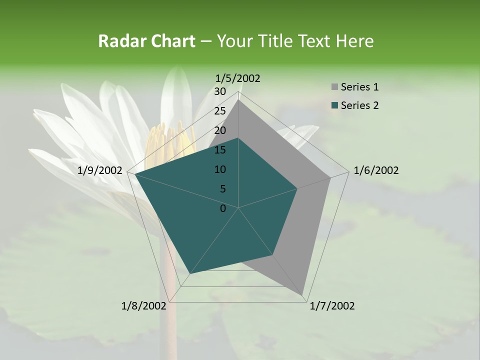 Exotic Leaf Card PowerPoint Template