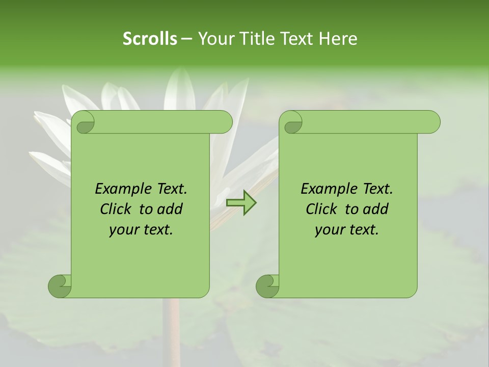Exotic Leaf Card PowerPoint Template
