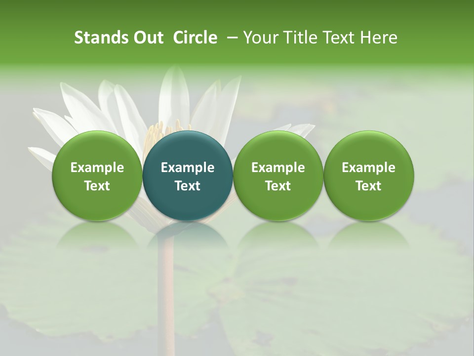 Exotic Leaf Card PowerPoint Template