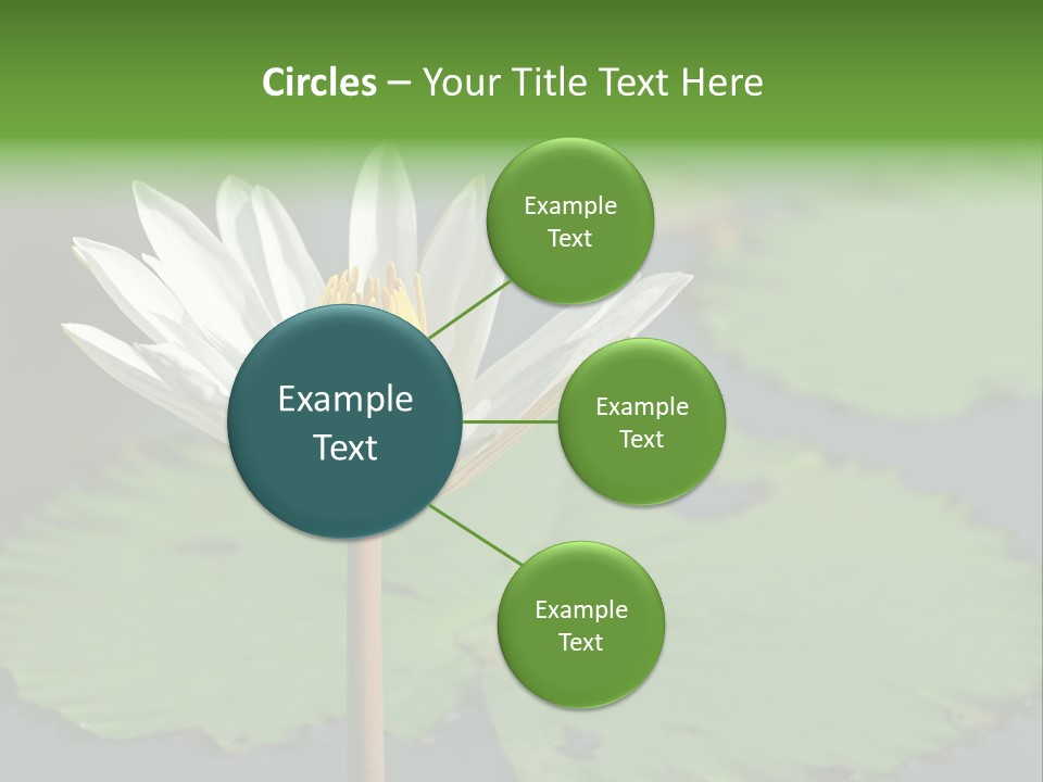 Exotic Leaf Card PowerPoint Template