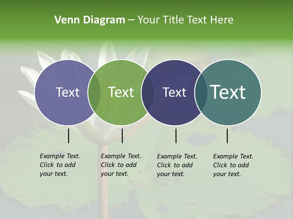 Exotic Leaf Card PowerPoint Template