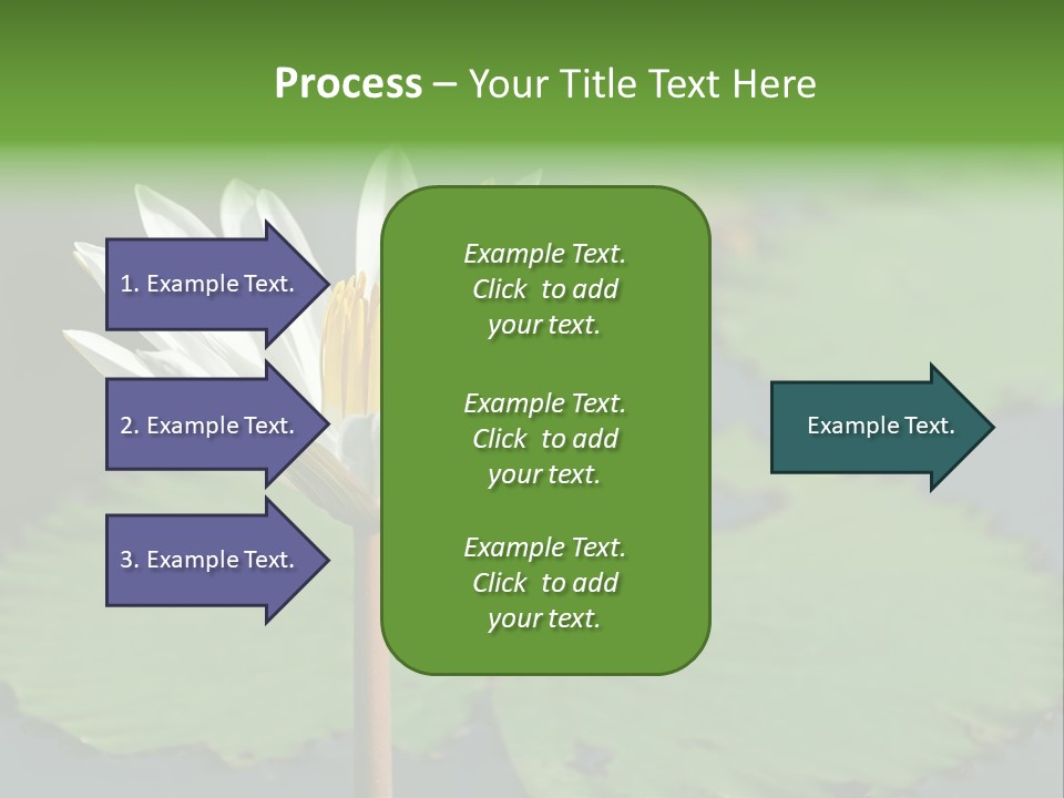 Exotic Leaf Card PowerPoint Template