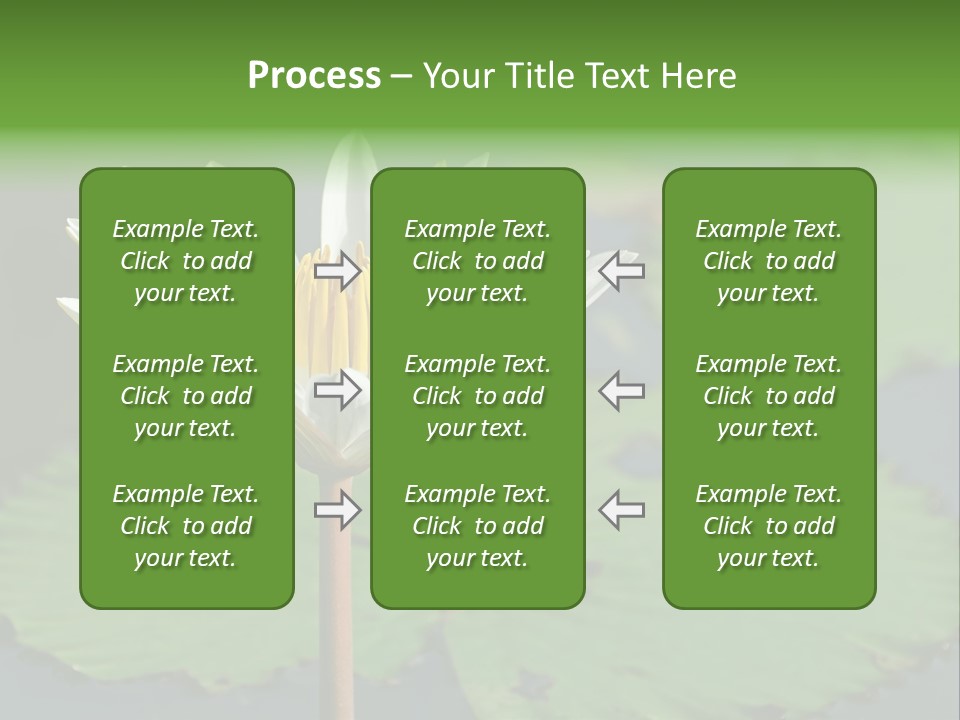 Exotic Leaf Card PowerPoint Template
