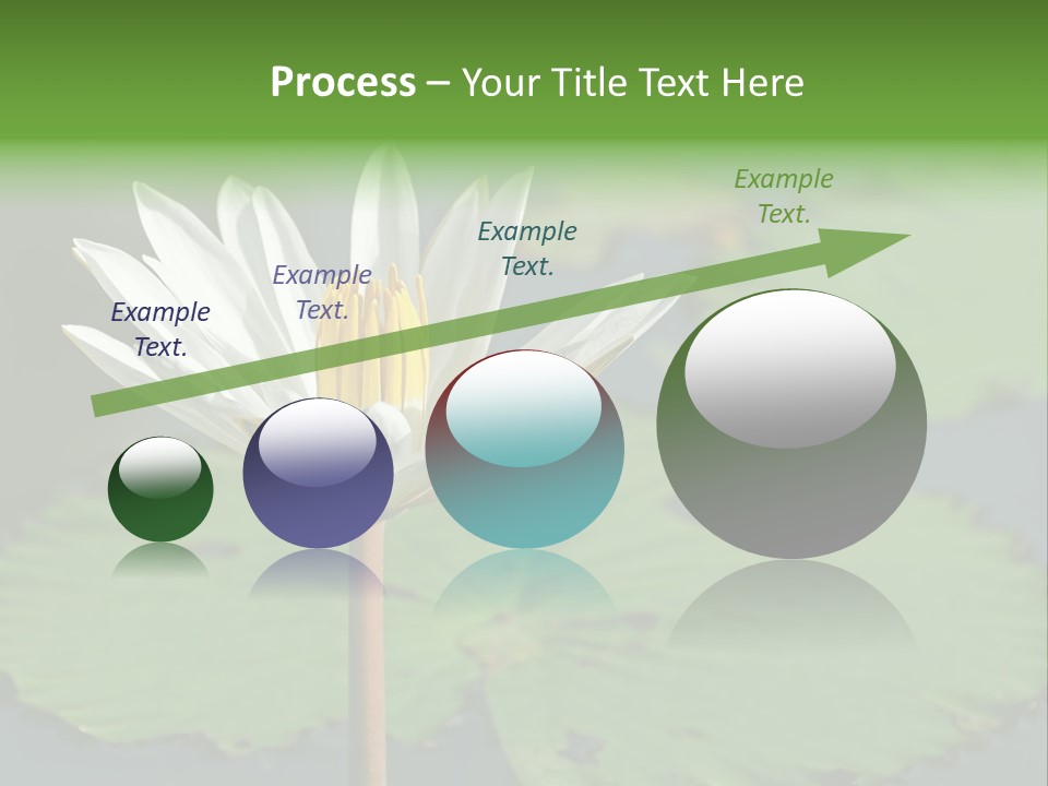 Exotic Leaf Card PowerPoint Template