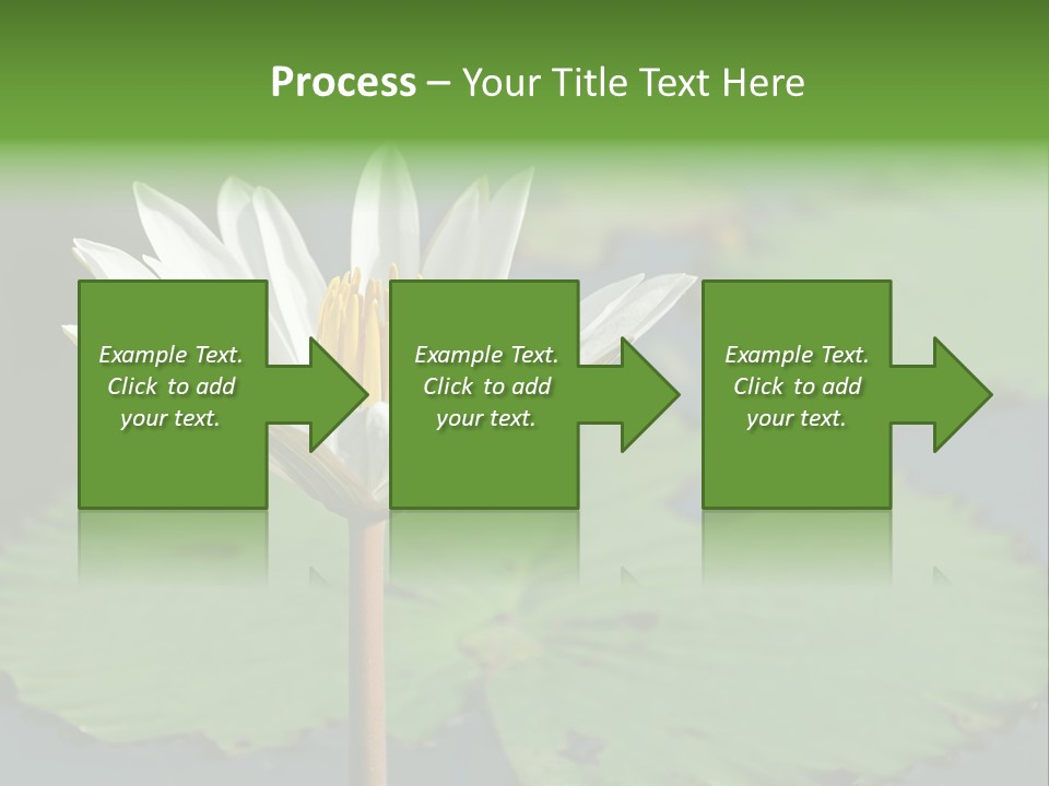 Exotic Leaf Card PowerPoint Template