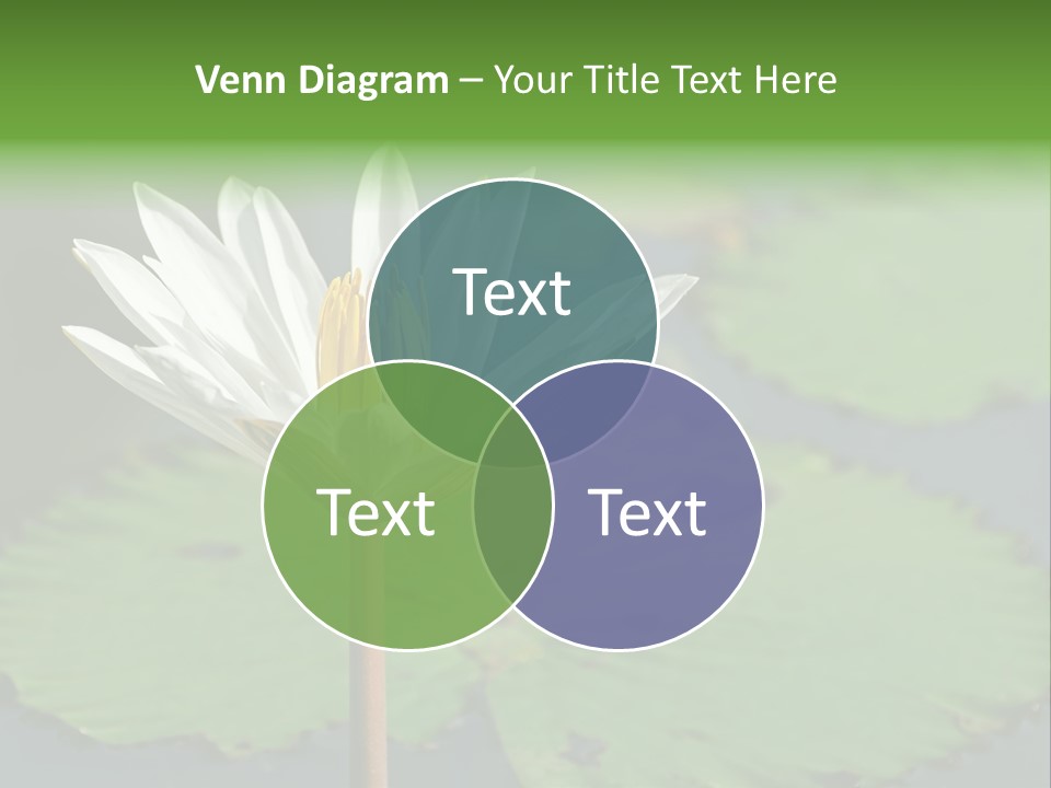 Exotic Leaf Card PowerPoint Template