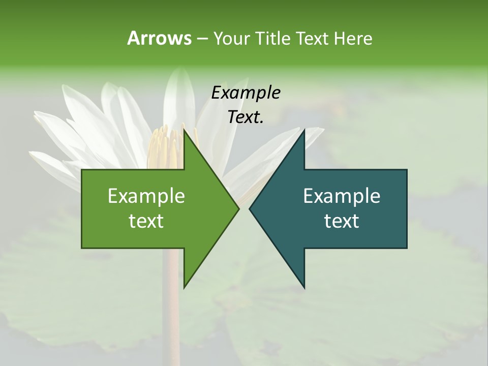 Exotic Leaf Card PowerPoint Template