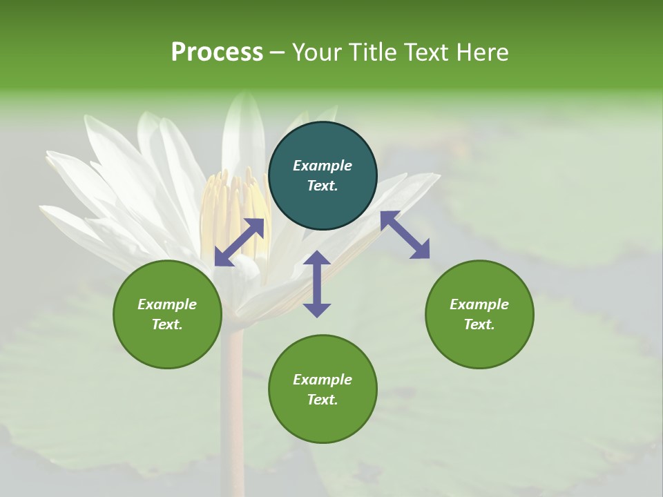 Exotic Leaf Card PowerPoint Template