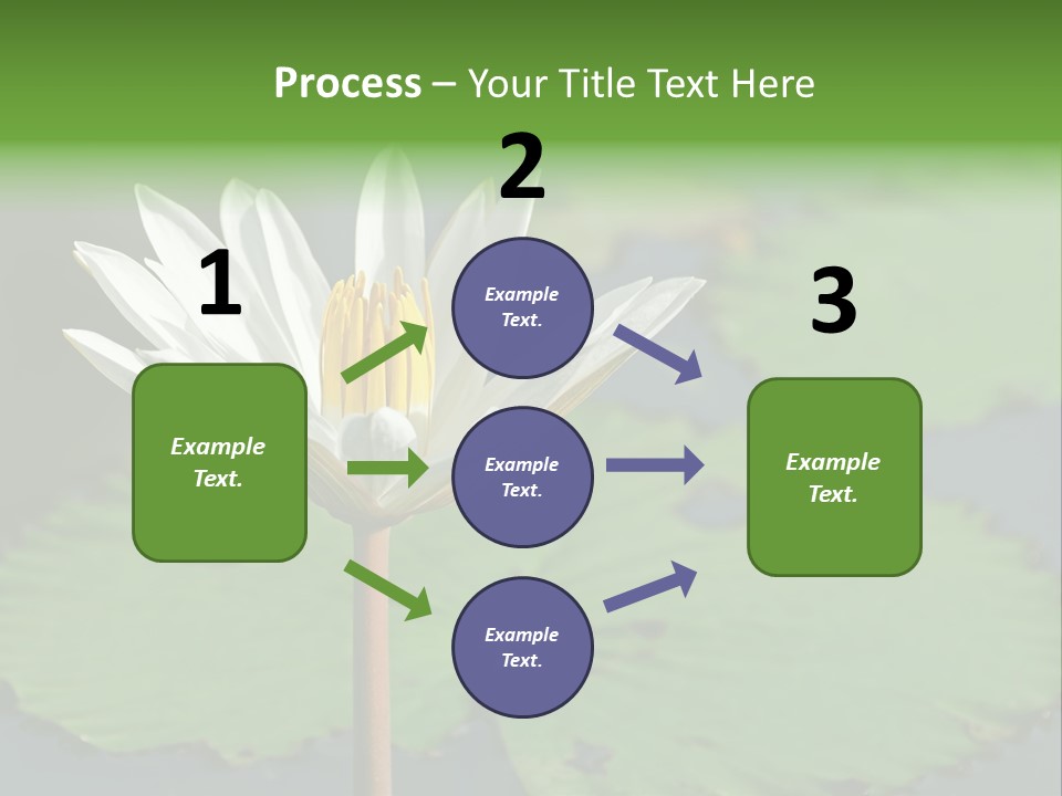 Exotic Leaf Card PowerPoint Template