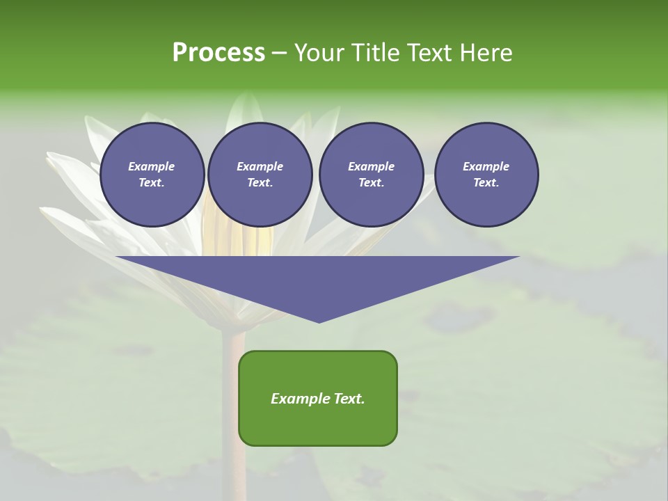 Exotic Leaf Card PowerPoint Template