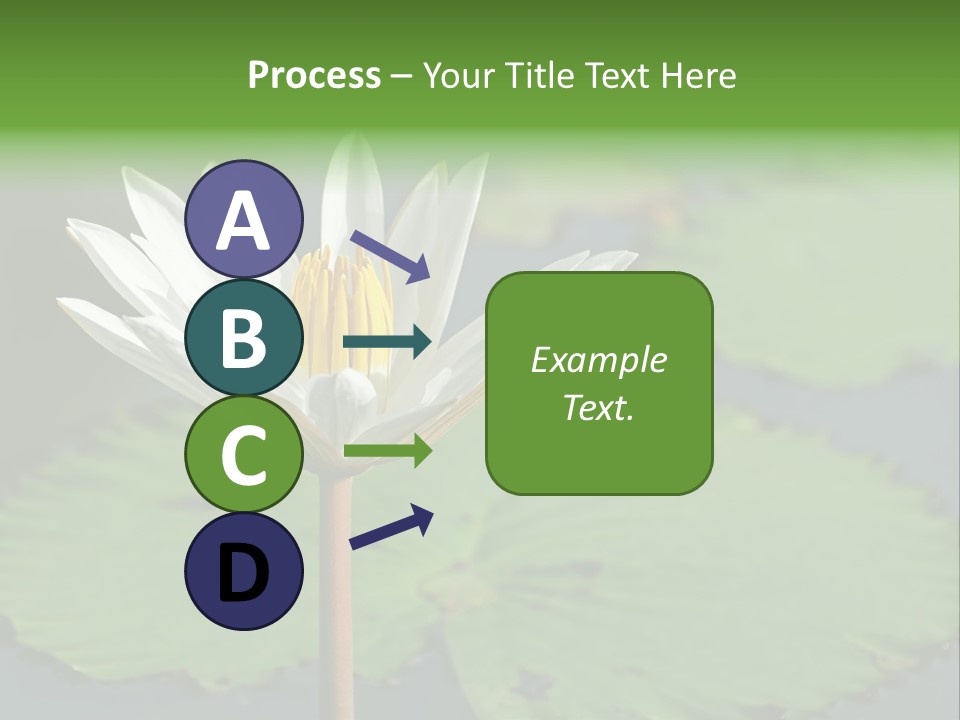 Exotic Leaf Card PowerPoint Template