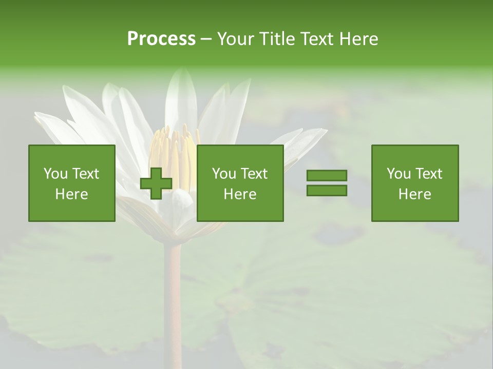 Exotic Leaf Card PowerPoint Template
