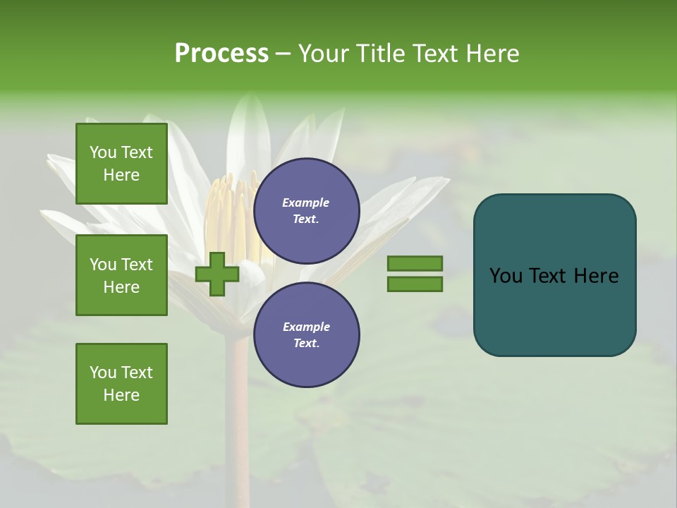 Exotic Leaf Card PowerPoint Template