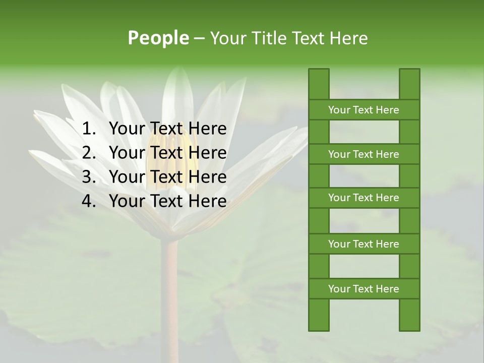 Exotic Leaf Card PowerPoint Template